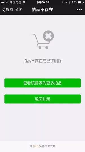 豹纹守宫新基因迷彩花在中国诞生？(图4)