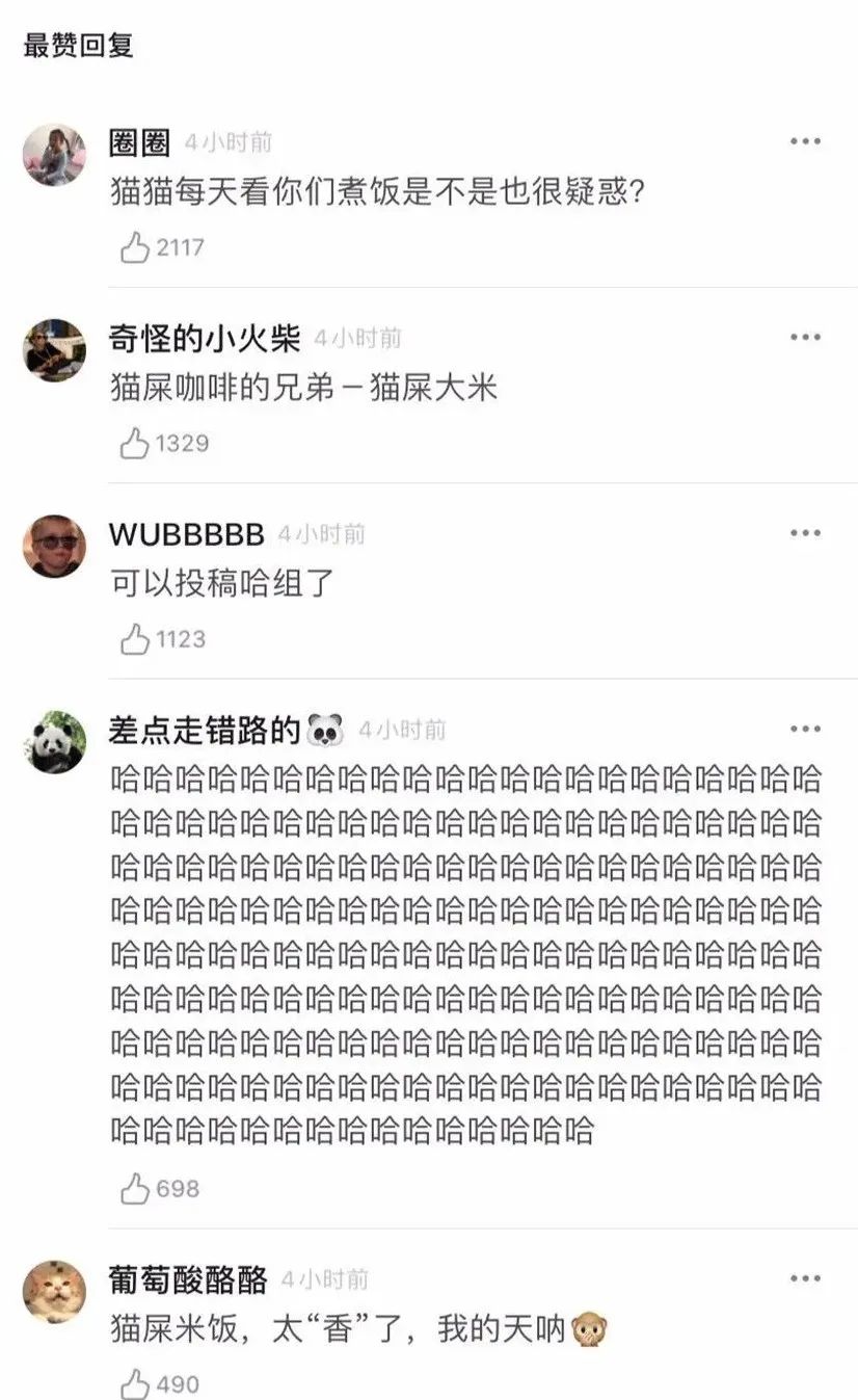 猫咪把米桶当猫砂盆，埋得太深几天后才发现！怎样教育做坏事的猫(图5)