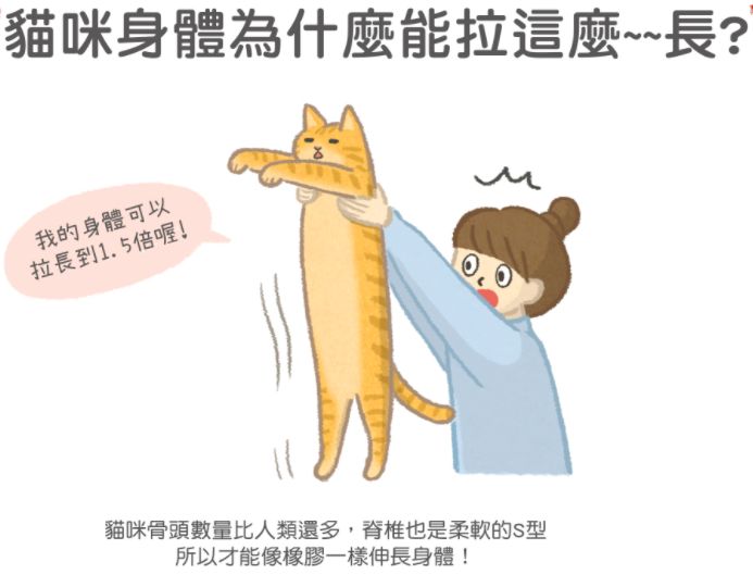 你家猫主子能拉到多长？快来用科学家的这个猫长公式算一算(图8)