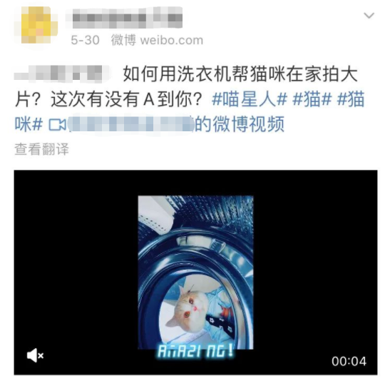 洗衣机又杀死了一只猫！养猫家庭洗衣服前，有件事不能偷懒(图14)