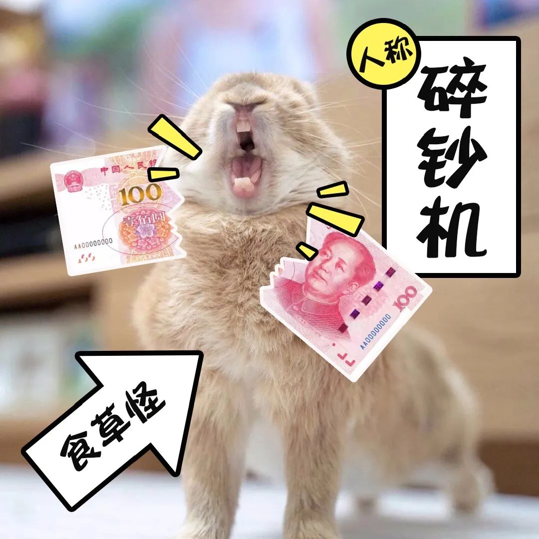 兔兔不为人知的另一面，了解后你还会养兔子吗？(图21)