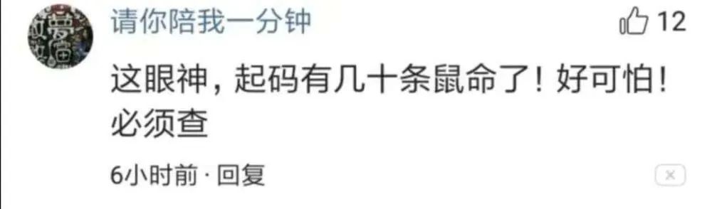 猫咪深夜外出被捕后拍照成网红！这么做，竟能让猫多活10年(图6)