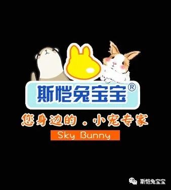 我家兔子拉了好多血，是大姨妈来了吗？(图1)