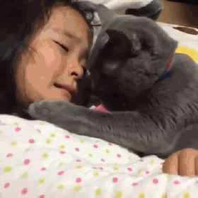 猫咪是不是有灵性？我生病了，猫就在身边安慰(图4)