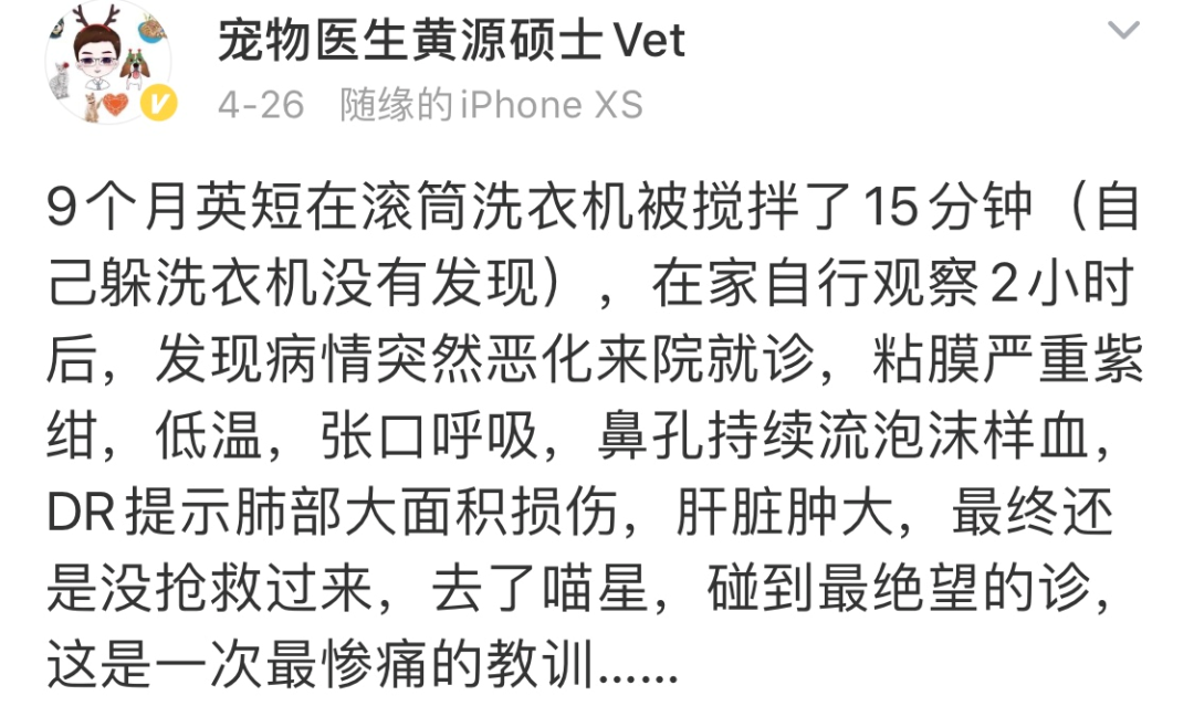 洗衣机又杀死了一只猫！养猫家庭洗衣服前，有件事不能偷懒(图1)
