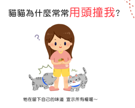 猫咪总在浴室外等你洗好澡，是因为好色吗？知道真相后我不禁笑了(图5)