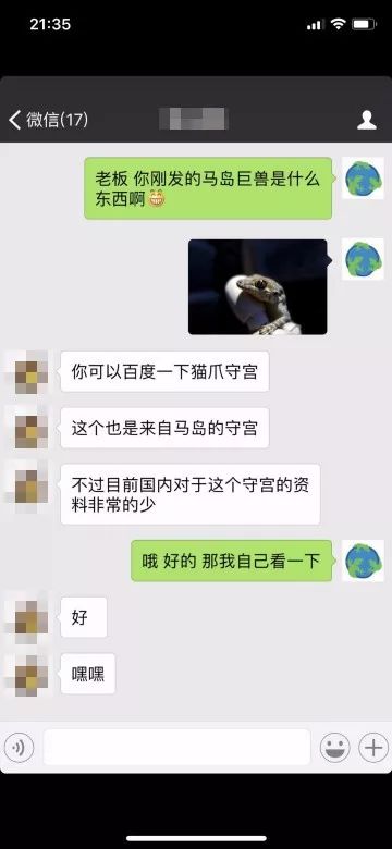 朋友圈突然出现的新奇物种马岛丝绒守宫，居然引出国内对于它的所有(图2)