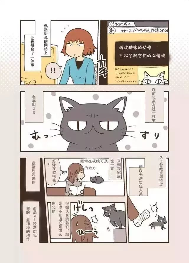 猫咪去世三年后，我才发现它也非常爱我！别错过这些猫咪爱的表示(图3)