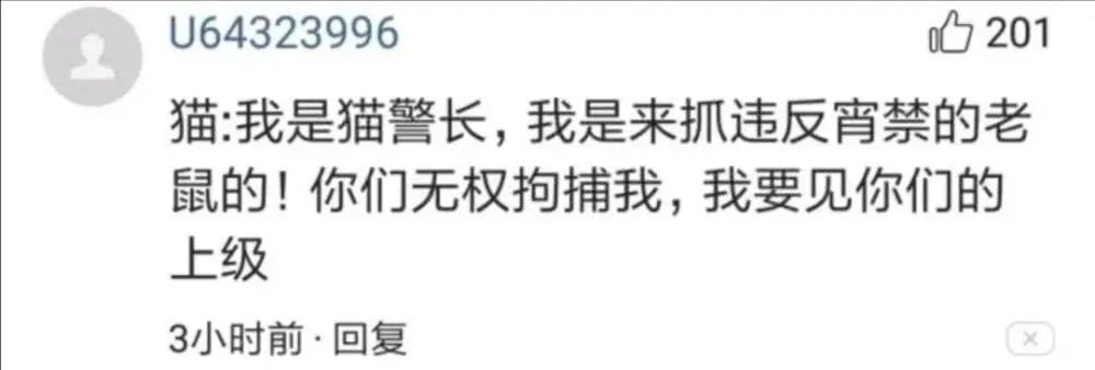 猫咪深夜外出被捕后拍照成网红！这么做，竟能让猫多活10年(图7)