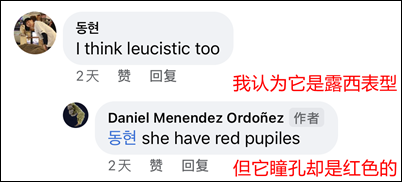 白化巨人守宫再现？我们离进击的“变异”巨人越来越近(图14)