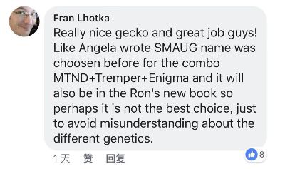 豹纹守宫新眼部变异史矛革基因成谜，品系名称又引争议！(图2)