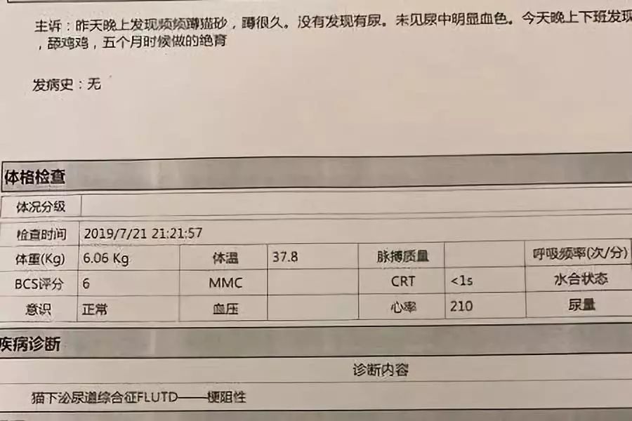 猫咪吃渴望和爱肯拿也差点肾衰！宠物医生教你怎么保养预防(图2)