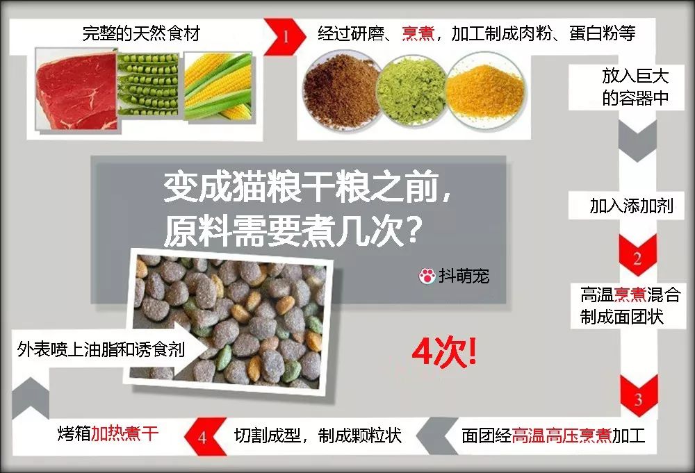 三文鱼猫粮因新冠病毒连夜改名！猫咪还可以吃鱼粮吗？(图4)