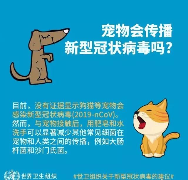 医科教授专业建议！疫情中如何健康地撸猫遛狗？(图3)