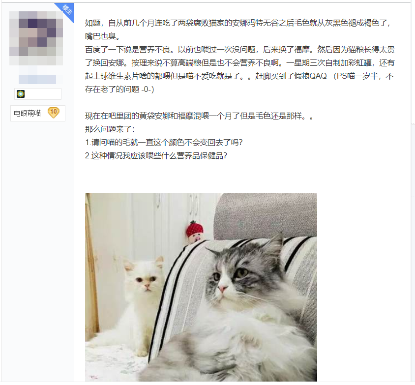 黑猫吃2元一斤渣粮后褪色成灰猫！保护主子猫毛健康需要这么做(图1)