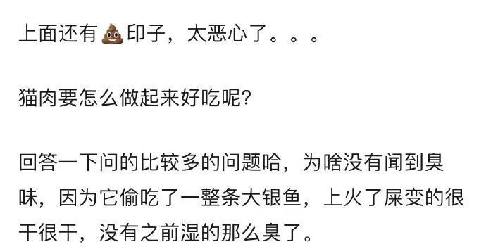 猫咪把米桶当猫砂盆，埋得太深几天后才发现！怎样教育做坏事的猫(图3)