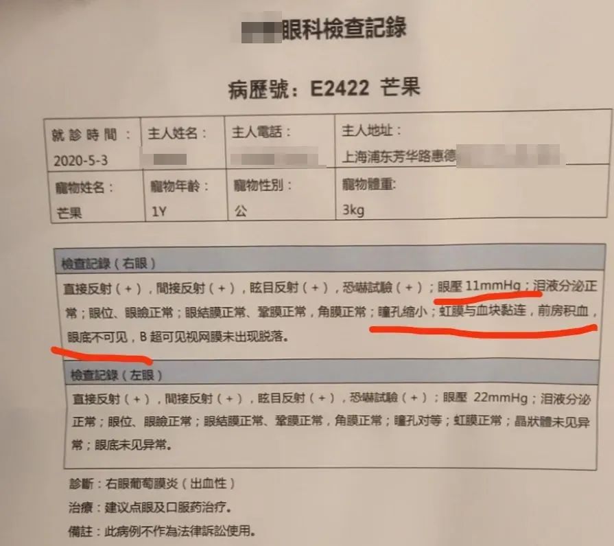 一周内两只猫外出洗澡，一死一伤！带猫去洗澡必须做好两件事(图8)