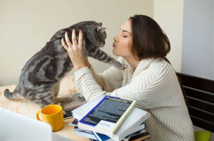 疫情期间别对猫咪做这件事，猫易无症状感染新冠病毒(图1)