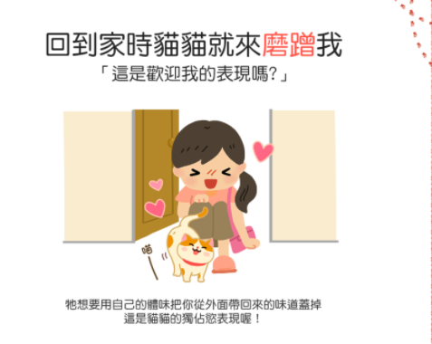 猫咪总在浴室外等你洗好澡，是因为好色吗？知道真相后我不禁笑了(图4)
