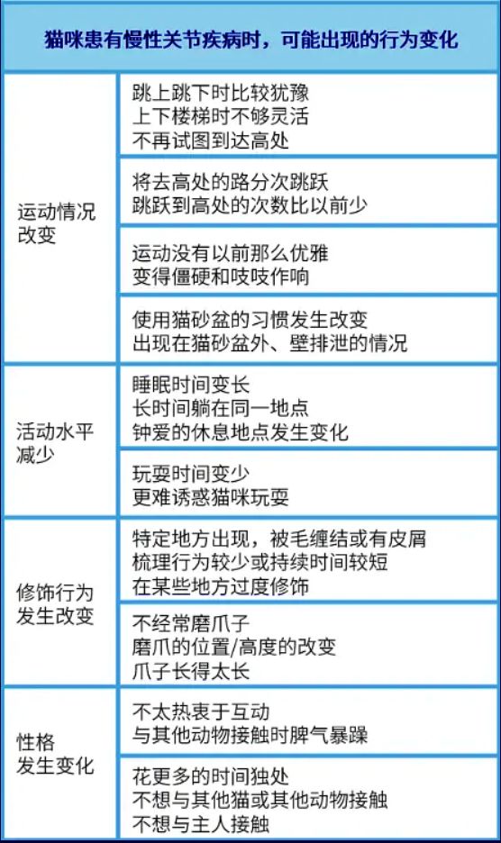 猫咪这种沙雕行为或是生??！80%猫都会经历，做好两件事预防(图7)