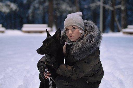 阿拉斯加雪橇犬能吃米饭吗？