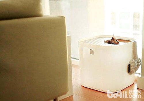 新式猫砂盆：猫咪的奢华马桶？