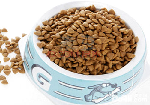 老猫猫粮怎样选？