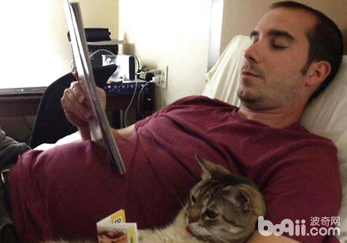 养猫的人比养狗的人更聪慧？