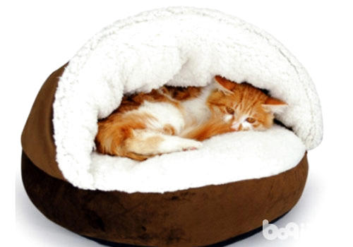 猫窝符合晃搁在哪些位子？