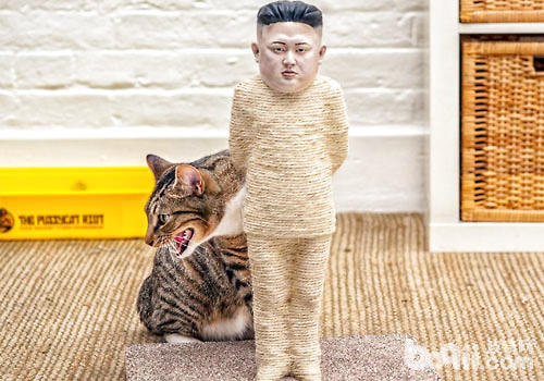 快过年了，给猫咪一个新式的猫爪板吧