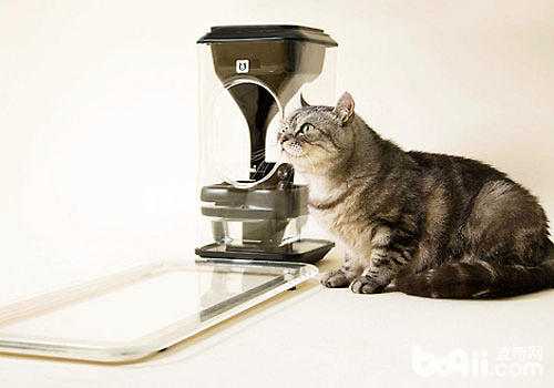 猫脸辨其余喂食器你睹过吗？