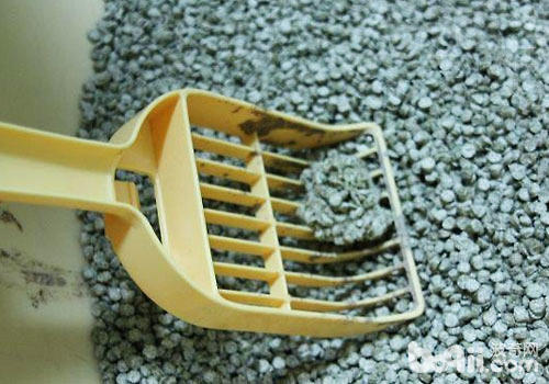猫砂用哪种比拟佳？