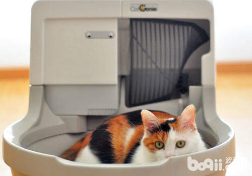 新式猫砂盆：猫咪的奢华马桶？