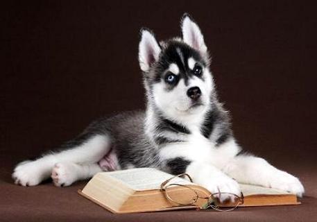 狂犬疫苗的副作用有哪些？(图2)