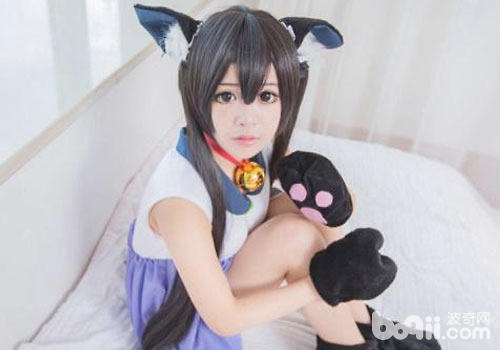 猫咪偏幸女性？