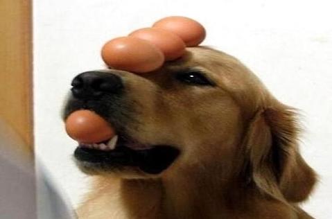 狂犬病的早期症候是什么？