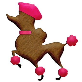 阿拉斯加犬能瞅家吗？
