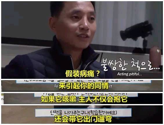 你了解你的狗子为了出去玩 有多拼吗？