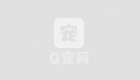 狗狗吃多少奶类食品才合适呢?