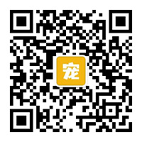 关注我们