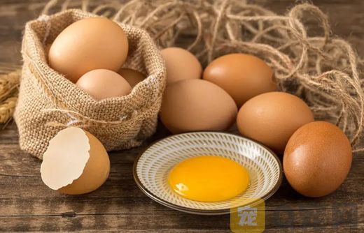 狗狗可以吃生鸡蛋吗？
