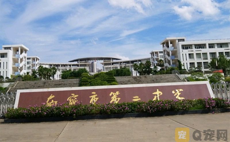 南宁二中可带宠物上学？你怎么看？(图1)