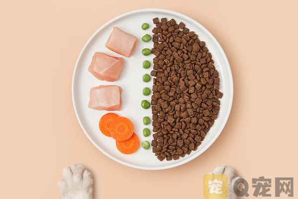 选购狗粮需要注意什么问题？(图1)